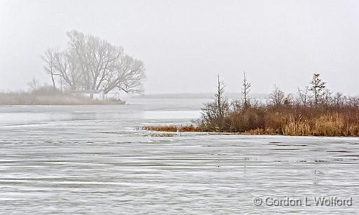 Freezing Rain_DSCF03626-7.jpg - Photographed along the Rideau Canal Waterway near Smiths Falls, Ontario, Canada.